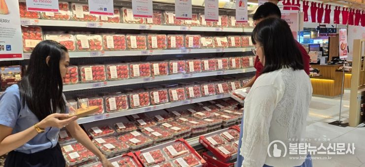 자카르타시 코타카사블랑카 쇼핑몰 내‘논산딸기 특별판매