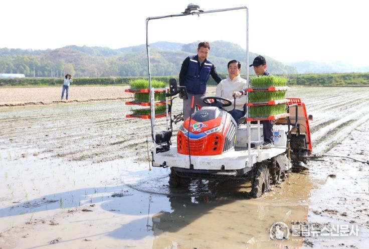 충주시, 신품종 쌀 ‘중원진미’ 첫 모내기 시행