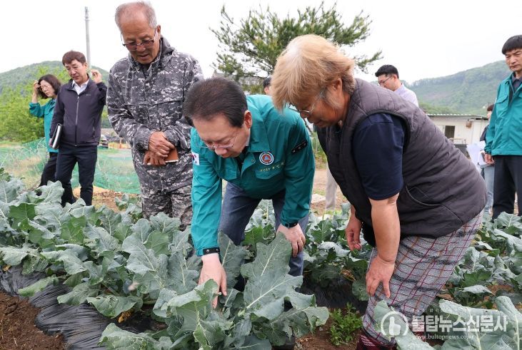 브로콜리 농가를 방문해 현장을 점검하고 농가를 위로하는 송인헌 군수