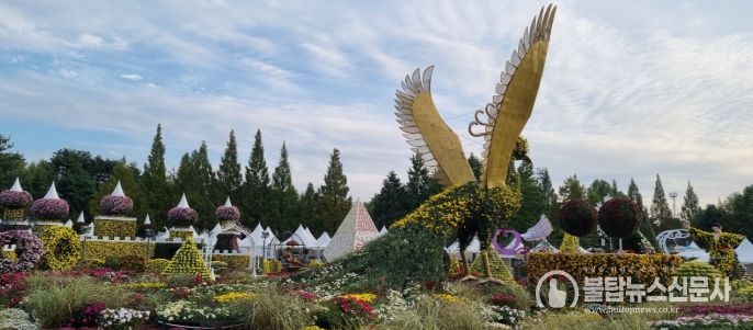 익산 천만송이 국화축제, 24일 개막