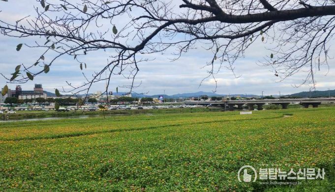 경주시 형산강변