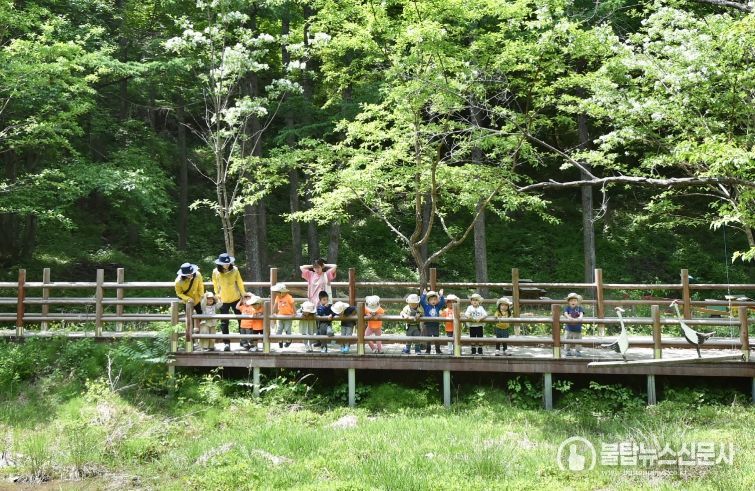 산소카페 청송군, 2026 산림정책 발표-유아숲 운영